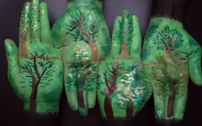 El Instituto Pirenaico de Ecología fusiona arte y ciencia para explicar el cambio global con el corto “Cambio a flor de piel”