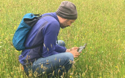 El Instituto Pirenaico de Ecología se adhiere a dos aplicaciones de móvil para catalogar las más de 3.500 plantas que habitan en el Pirineo aragonés