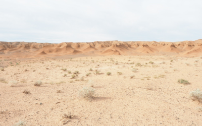 Investigadores del CSIC participan en la primera expedición biológica a los yesos del desierto de Gobi