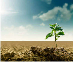 Ciclo de conferencias divulgativas «Impactos del cambio climático: el reto de la adaptación»