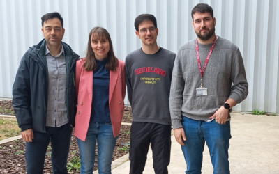 Un equipo del INMA impulsa la investigación en nuevos nanomateriales con importantes avances en la química del origami de ADN