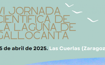VI Jornada científica de Gallocanta