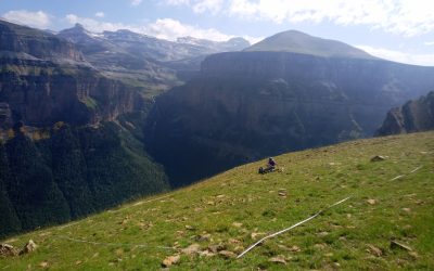 El Instituto Pirenaico de Ecología participa en un estudio global que revela el impacto oculto de la actividad humana en la naturaleza