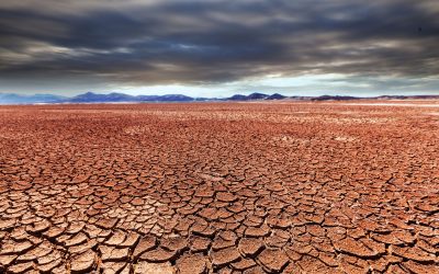 El CSIC participa en un estudio que recomienda acciones políticas urgentes para combatir la creciente aridez global